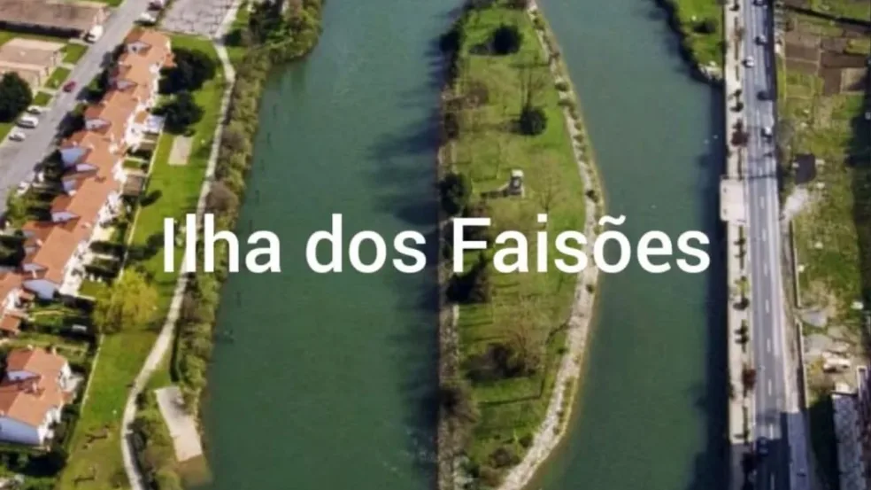 Ilha dos Faisões - Créditos: Imagem Divulgação Instagram/@astro_eggy Ilha dos Faisões - Créditos: Imagem Divulgação Instagram/@astro_eggy