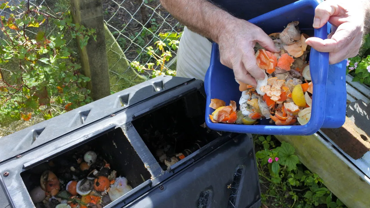 O truque para reaproveitar sobras de comida no cultivo