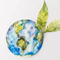 O truque para reaproveitar sobras de comida no cultivo