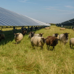 Agrivoltaics
