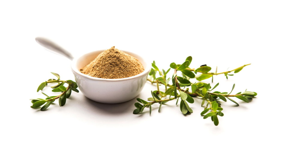 Bacopa