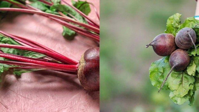 Beterraba com folhas