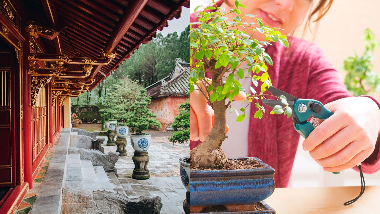 Bonsai fictício