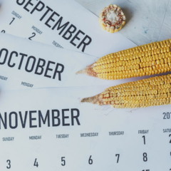 Calendário de colheita