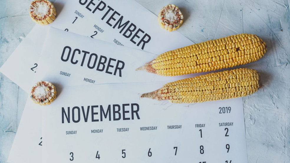 Calendário de colheita