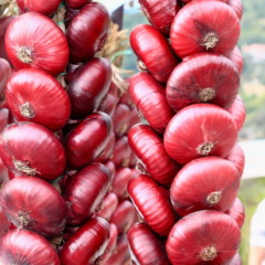 cebola roxa
