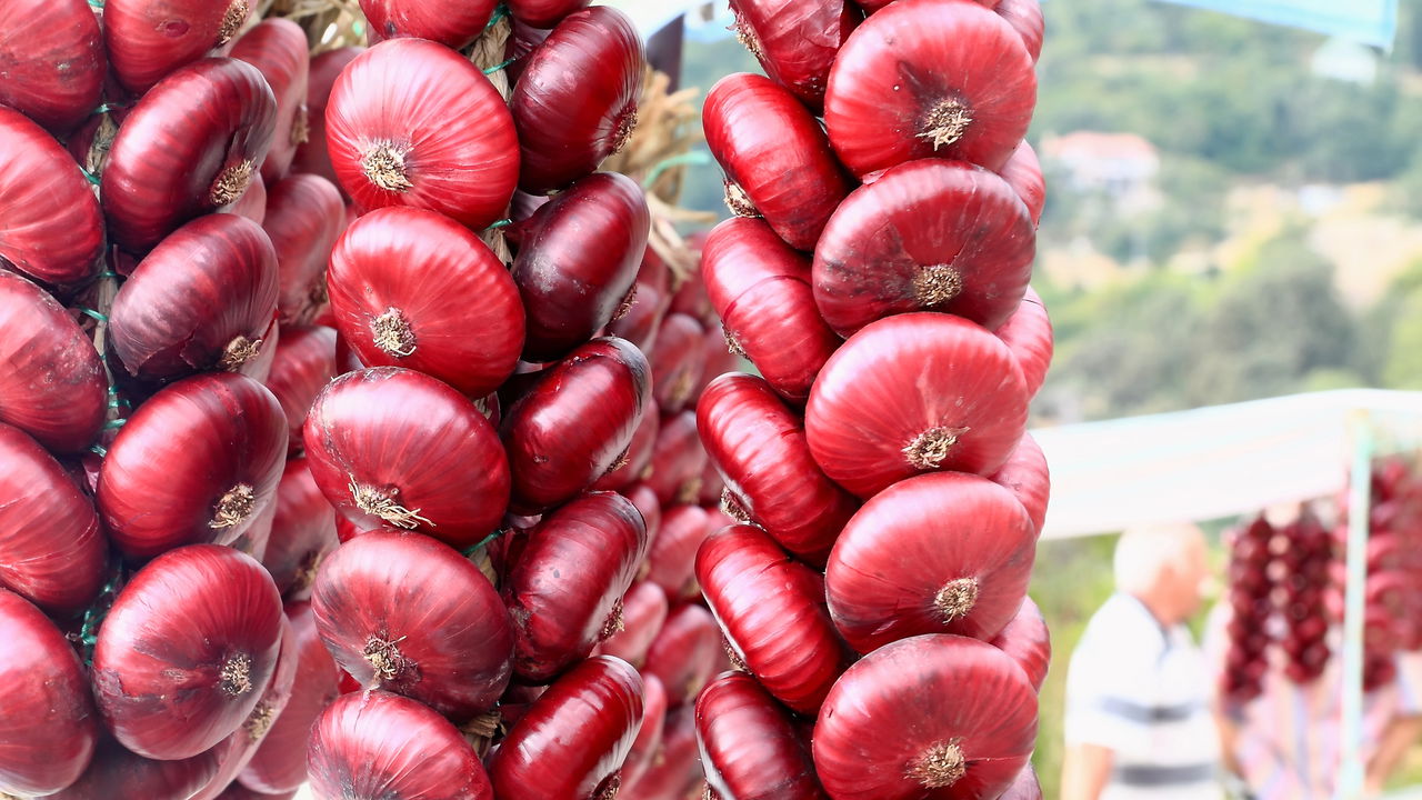 cebola roxa