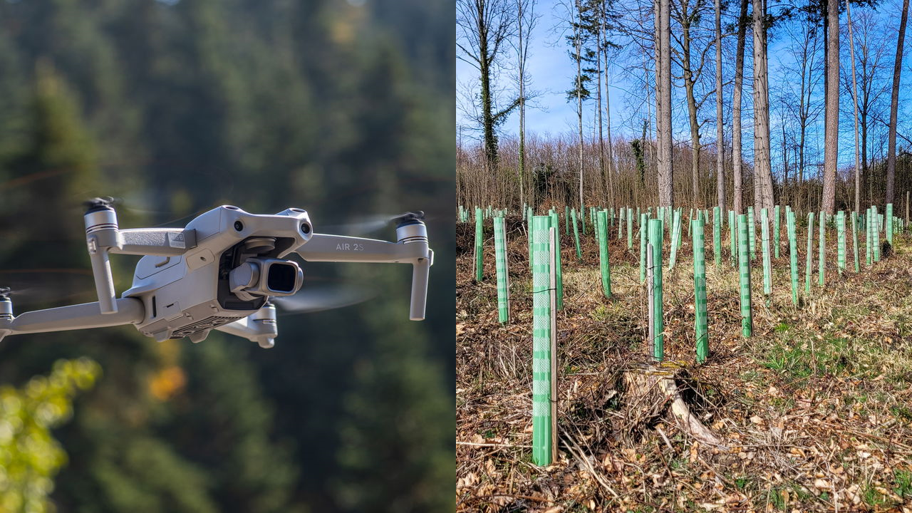 Drones com IA estão reflorestando