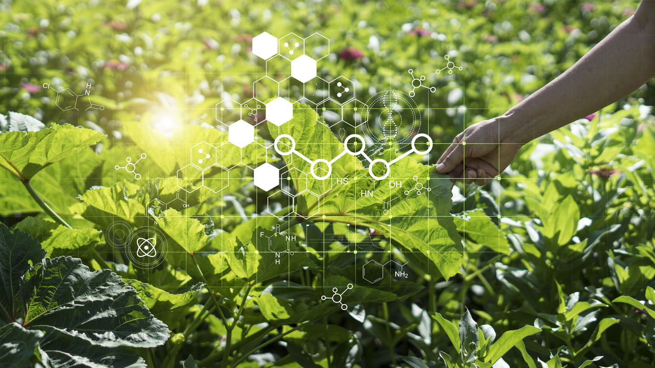 Nanotecnologia