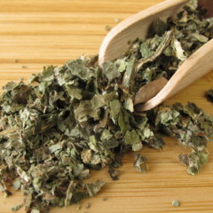 Petasites