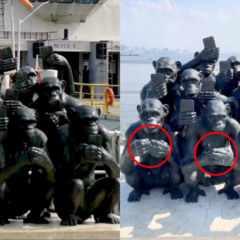 Vandalismo em Niterói: escultura de macacos com celulares é danificada na Praça Arariboia