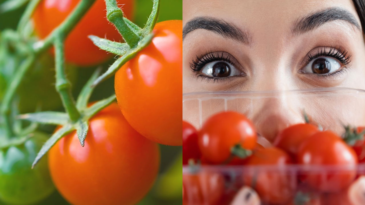 Tomate-cereja
