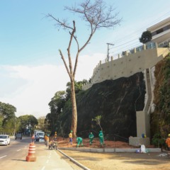 Foto: Evelen Gouvêa