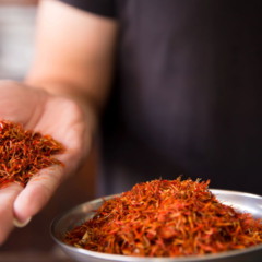 Cultivar cártamo