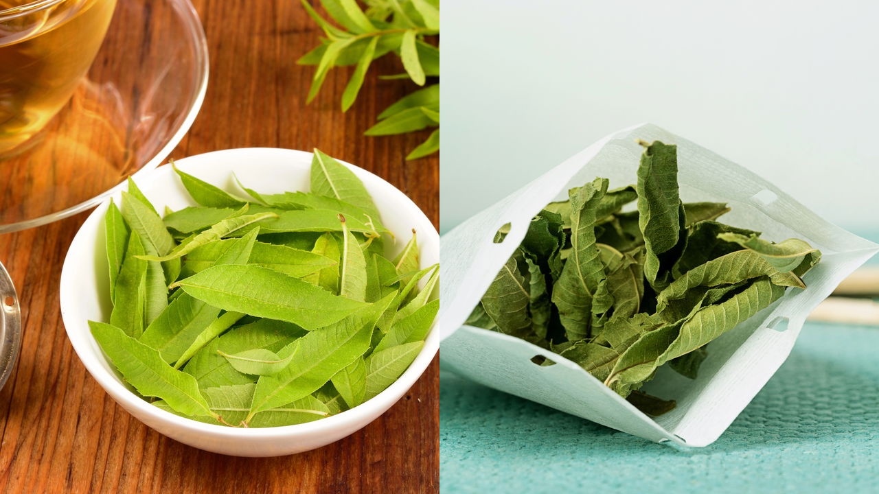 chá de verbena
