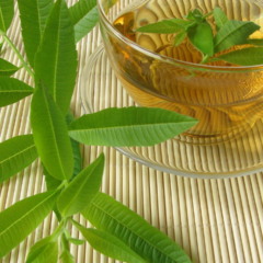 chá de verbena