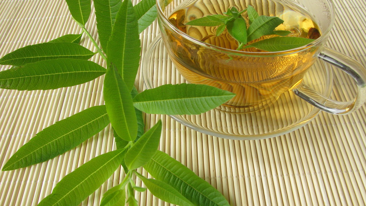 chá de verbena