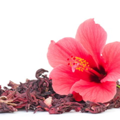 hibisco