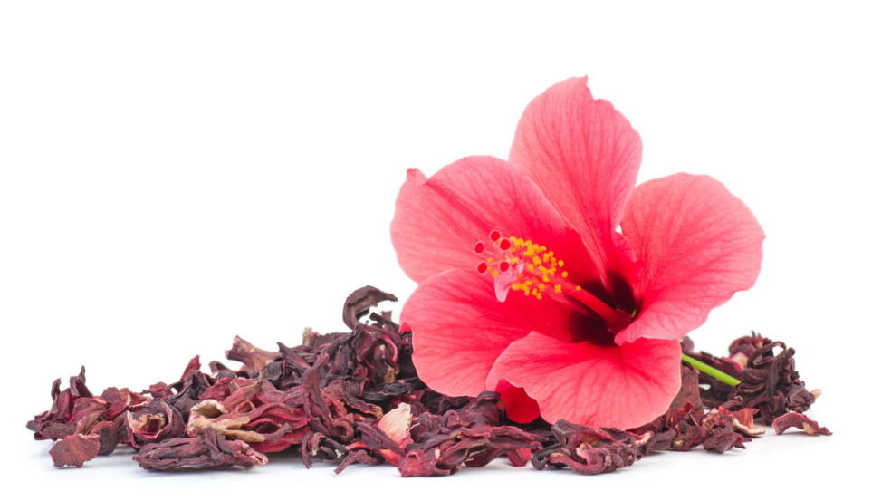 hibisco