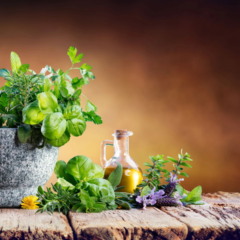 plantas medicinais
