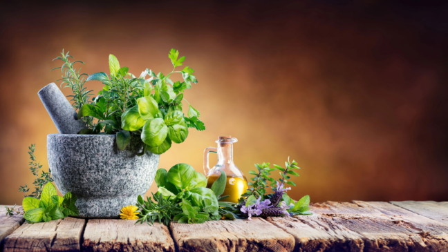 plantas medicinais