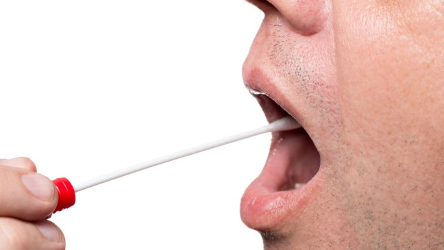 Saliva