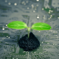 CleanHub
