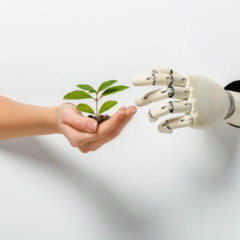 Preservação ambiental