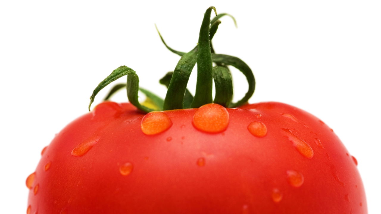 Tomate italiano