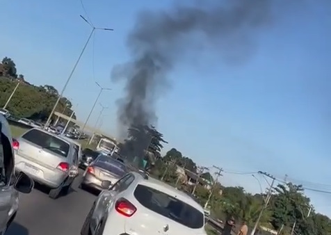 Reprodução Reprodução