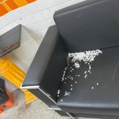 Sofá danificado por ratos dentro da escola. Reprodução