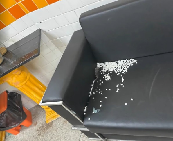 Sofá danificado por ratos dentro da escola. Reprodução