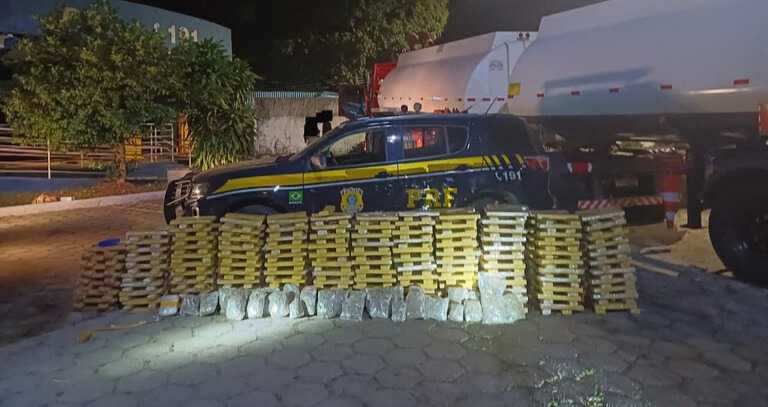 Apreensão de drogas Apreensão de drogas