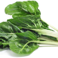 Plantar acelga branca