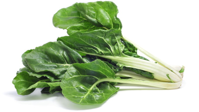 Plantar acelga branca