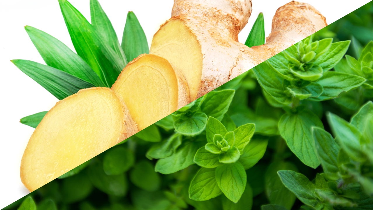 Antibióticos naturais