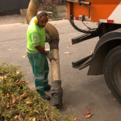 Foto: João Pedro Torres