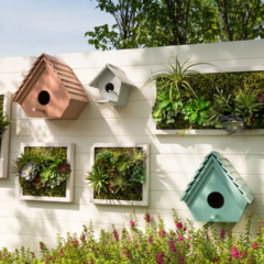 Horta vertical