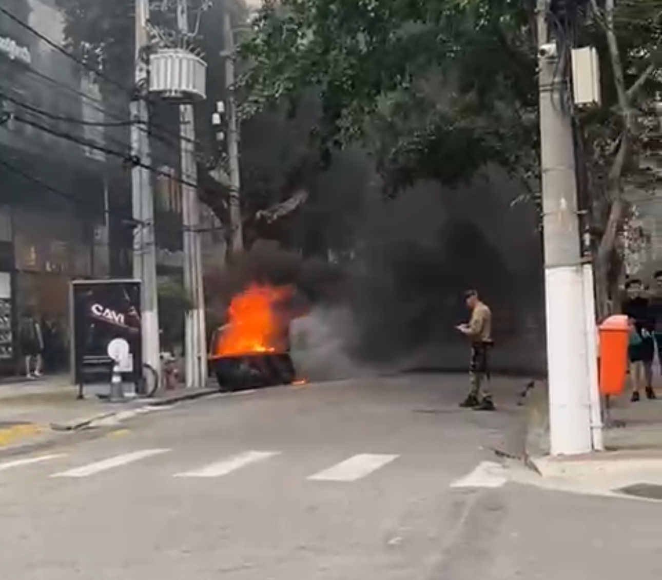 Reprodução Reprodução