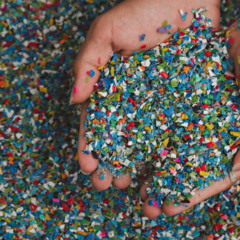 Plásticos biodegradáveis
