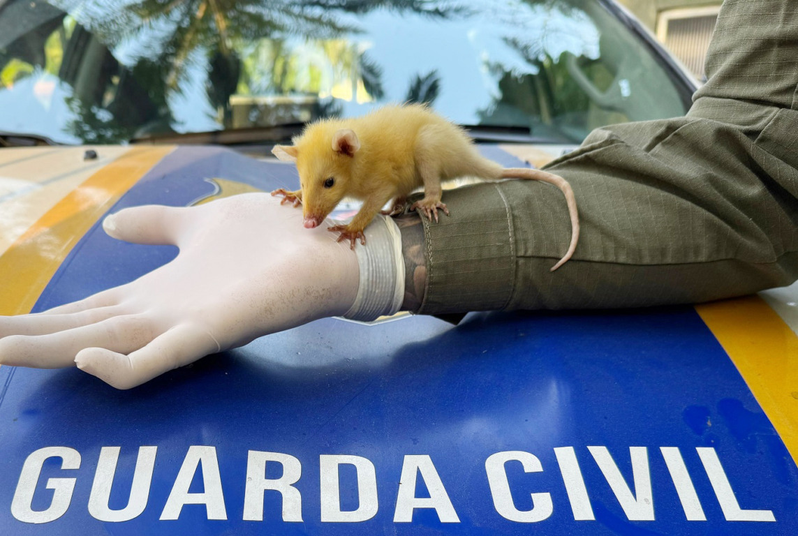 Foto: Divulgação