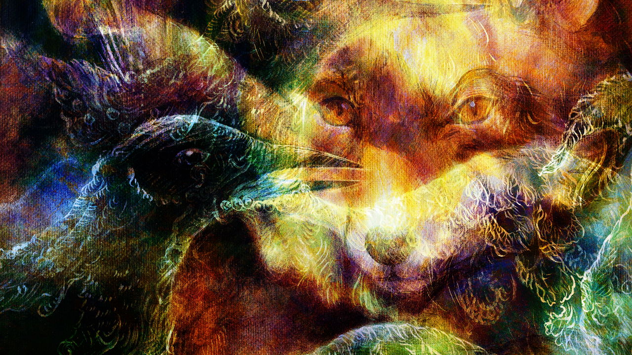 Animais espirituais