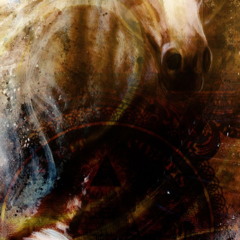 animais espirituais
