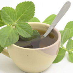 Plantas medicinais