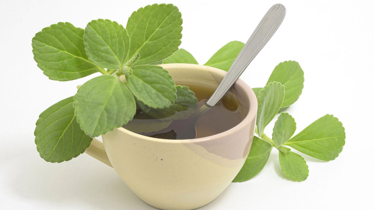 Plantas medicinais