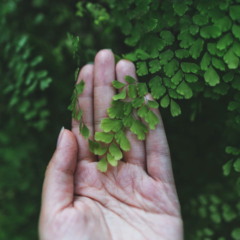 Signos mais conectados com a natureza