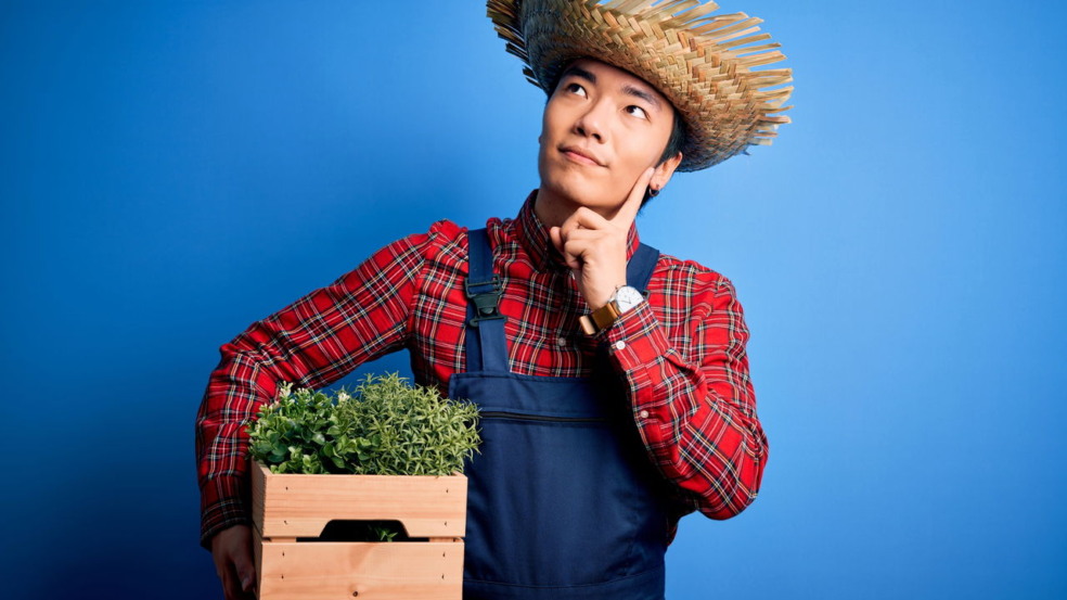 Plantas que crescem Plantas que crescem