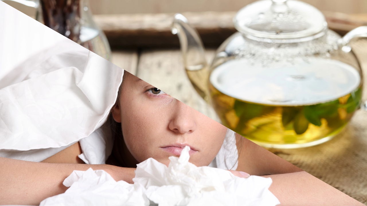 plantas que melhoram a respiração e aliviam sintomas de gripe