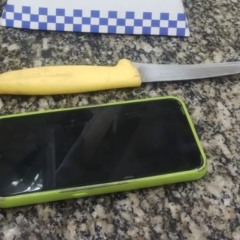 Divulgação/PMERJ