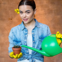 Cultivar suculentas e alecrim
